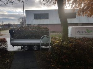Peters hoveniersbedrijf uit Koudekerk aan den Rijn, het adres voor bedrijfstuinen