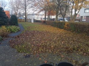 Peters hoveniersbedrijf uit Koudekerk aan den Rijn, het adres voor bedrijfstuinen