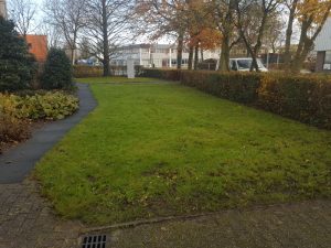 Peters hoveniersbedrijf uit Koudekerk aan den Rijn, het adres voor bedrijfstuinen