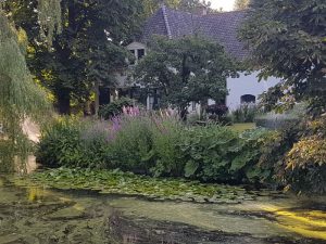 Peters hoveniersbedrijf uit Koudekerk aan den Rijn, het adres voor uw natuurlijke en diervriendelijke tuin