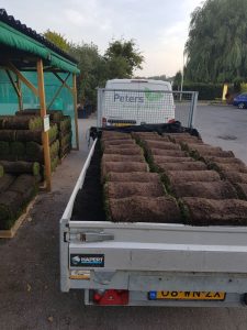 Peters hoveniersbedrijf uit Koudekerk aan den Rijn, het adres voor uw natuurlijke en diervriendelijke tuin
