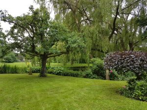 Peters hoveniersbedrijf uit Koudekerk aan den Rijn, het adres voor uw natuurlijke en diervriendelijke tuin