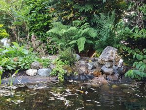 Peters hoveniersbedrijf uit Koudekerk aan den Rijn, het adres voor uw natuurlijke en diervriendelijke tuin