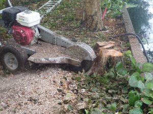 Peters hoveniersbedrijf uit Koudekerk aan den Rijn, het adres voor uw snoeiwerkzaamheden