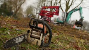Peters hoveniersbedrijf uit Koudekerk aan den Rijn, het adres voor uw snoeiwerkzaamheden