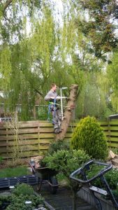 Peters hoveniersbedrijf uit Koudekerk aan den Rijn, het adres voor uw snoeiwerkzaamheden