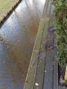 Peters hoveniersbedrijf uit Koudekerk aan den Rijn, het adres voor het maken voor uw terrasreinigig