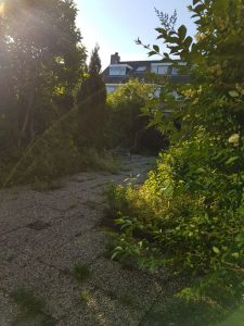 Peters hoveniersbedrijf uit Koudekerk aan den Rijn, het adres voor het aanleggen van uw nieuwe tuin